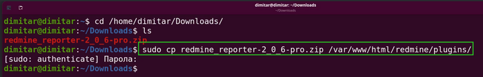 reporter_03_zip_file_copy_command_in_terminal.png