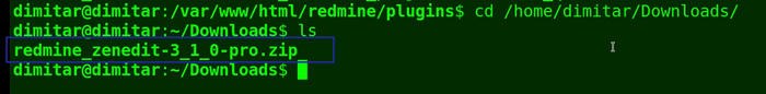 11_zenedit_new_version_downloads_folder_terminal.png