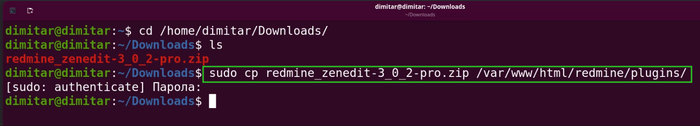 zenedit_03_zip_file_copy_command_in_terminal.png