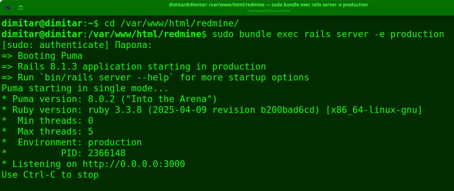 20_budgets_restarted_redmine_terminal.png