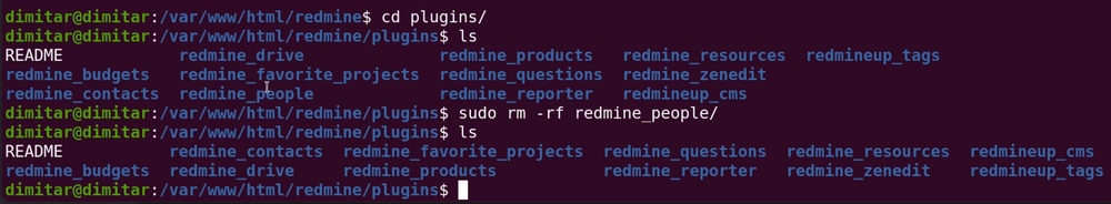 people_08_no_plugin_terminal.png