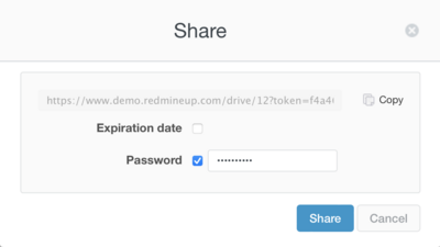 drive_password.png