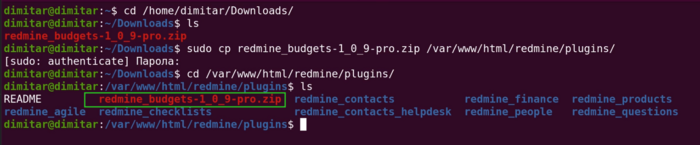 budgets_05_zip_copied_terminal.png