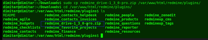 14_drive_copied_file_terminal.png