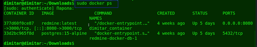 08_checklists_sudo_docker_ps.png