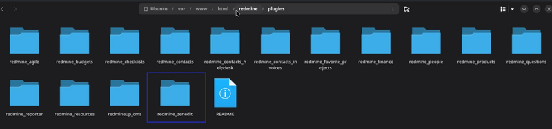 06_zenedit_listing_old_version_plugin_files_system.png