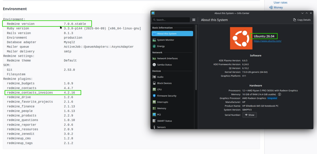 invoices_01_system_info_with_plugin.png