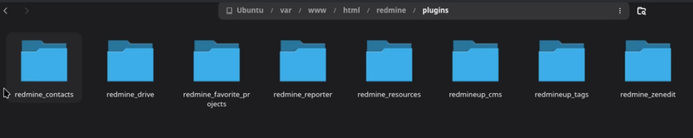 budgets_09_no_plugin_file_system.png