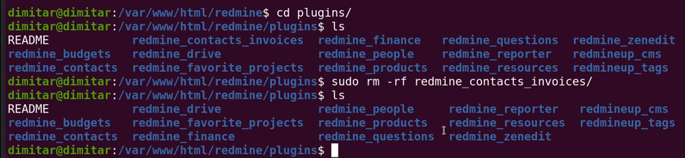 invoices_08_no_plugin_terminal.png