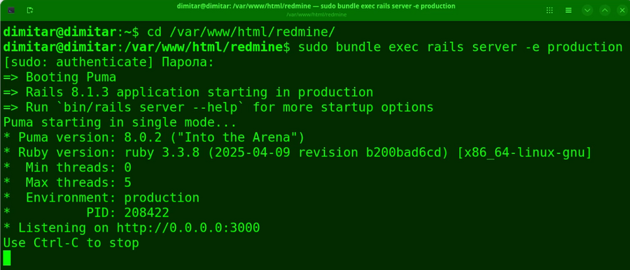 20_drive_restarted_redmine_terminal.png