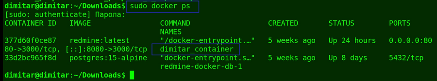 08_people_sudo_docker_ps.png