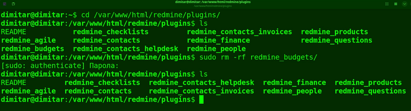 08_budgets_list_files_deleted_terminal.png