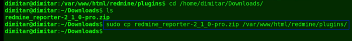 12_reporter_copy_command.png