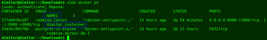 08_agile_sudo_docker_ps.png