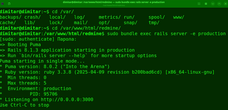 20_tags_restarted_redmine_terminal.png