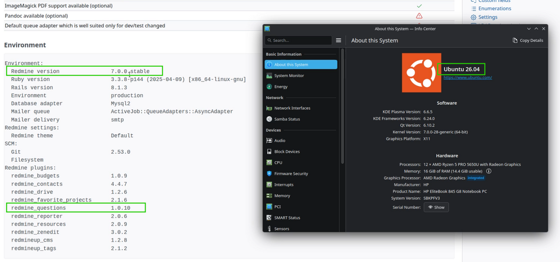 questions_01_system_info_with_plugin.png