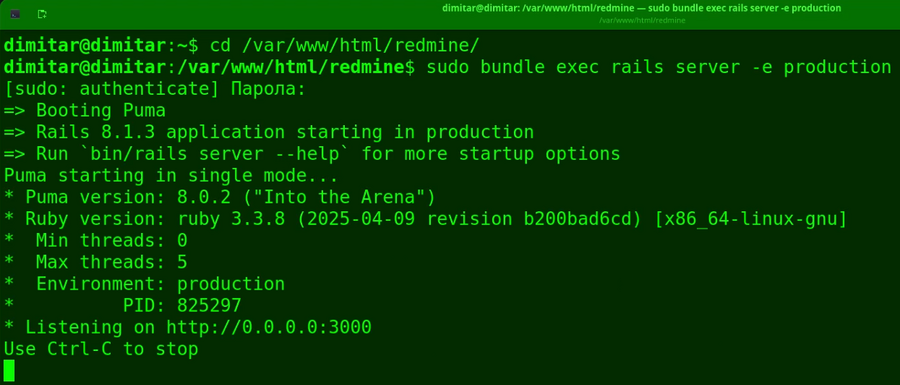 20_people_restarted_redmine_terminal.png