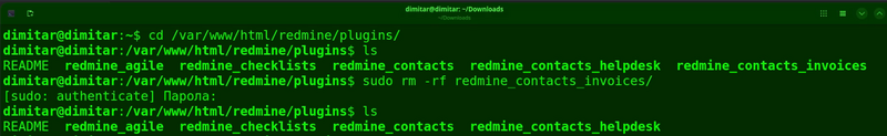 08_invoices_list_files_deleted_terminal.png