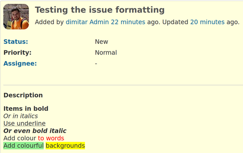 issue_description_formatted_text_saved.png