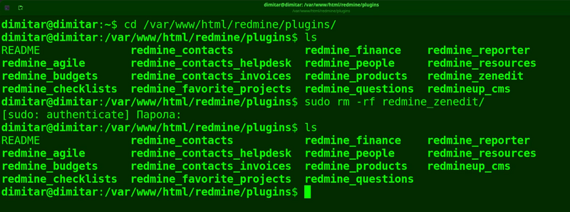 08_zenedit_list_files_deleted_terminal.png