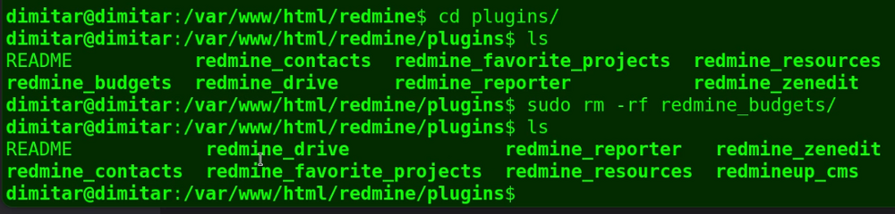 budgets_08_no_plugin_terminal.png