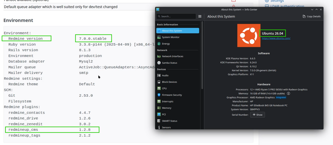 cms_01_system_info_with_plugin.png