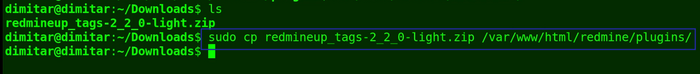 12_tags_copy_command.png