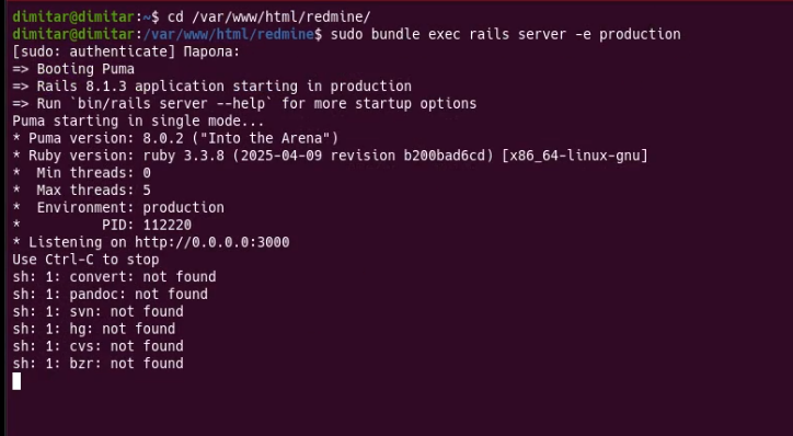 agile_11_new_started_redmine.png