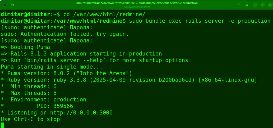 20_checklists_restarted_redmine_terminal.png