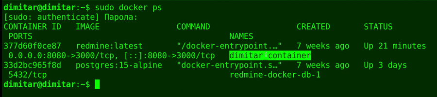 02_products_docker_ps.png