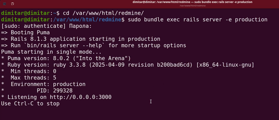 reporter_11_new_started_redmine.png