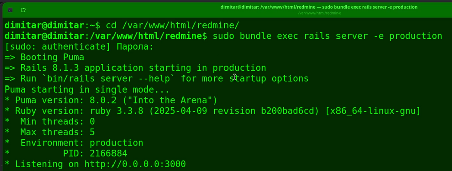20_questions_restarted_redmine_terminal.png