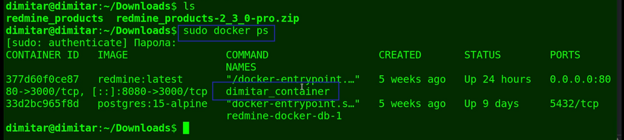 08_products_sudo_docker_ps.png