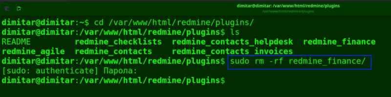 07_finance_delete_command.png