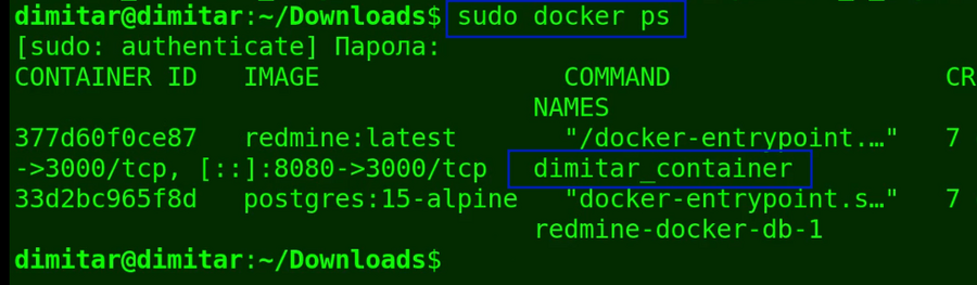 08_helpdesk_sudo_docker_ps.png