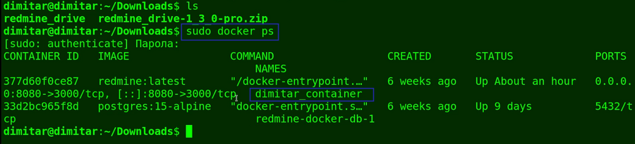 08_drive_sudo_docker_ps.png