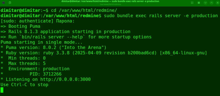 20_zenedit_restarted_redmine_terminal.png