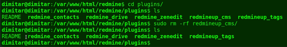 cms_08_no_plugin_terminal.png