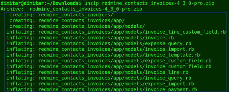 05_invoices_rows_of_unzipping.png
