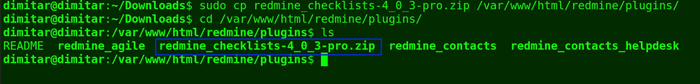 14_checklists_copied_file_terminal.png