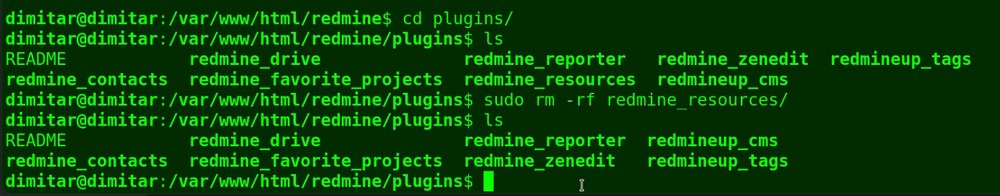 resources_08_no_plugin_terminal.png