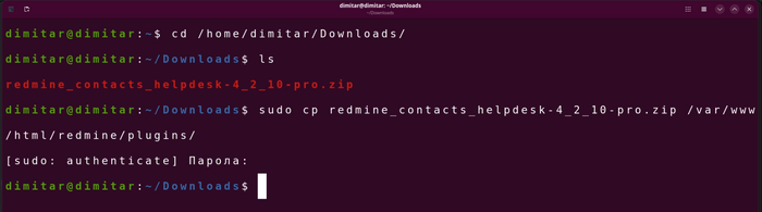 helpdesk_03_zip_file_copy_command_in_terminal.png