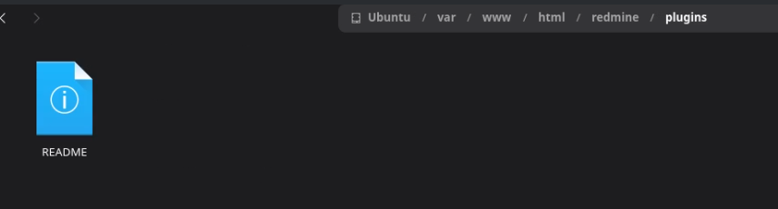 09_no_plugin_file_system.png