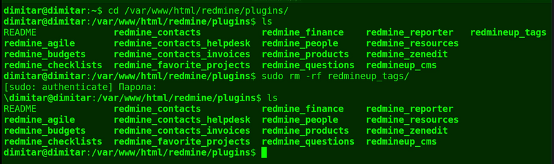 08_tags_list_files_deleted_terminal.png