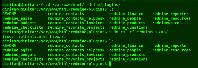 08_cms_list_files_deleted_terminal.png