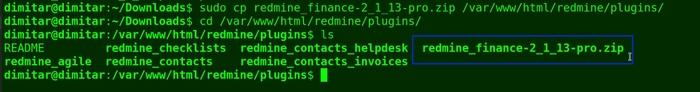 14_finance_copied_file_terminal.png