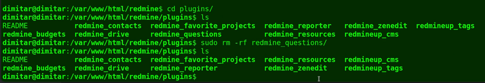 questions_08_no_plugin_terminal.png