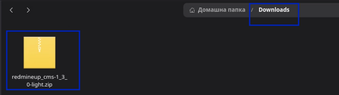 10_cms_new_version_downloads_folder_file_system.png