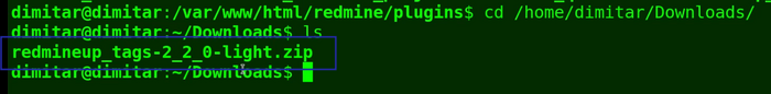 11_tags_new_version_downloads_folder_terminal.png