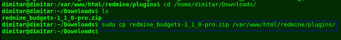 12_budgets_copy_command.png